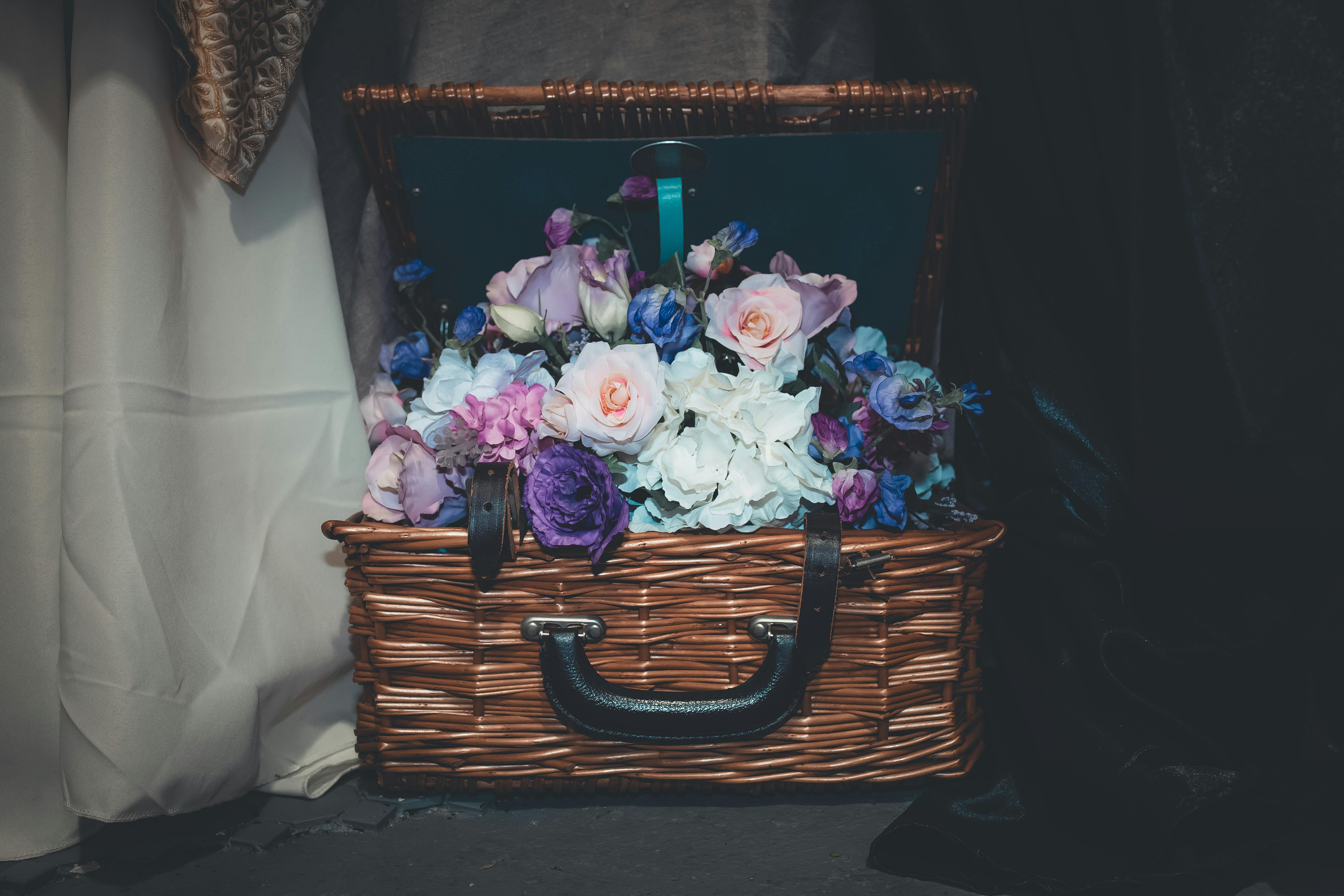 Free stock photo of basket, beautiful, bloom