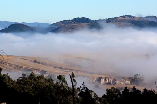Free stock photo of foggy morning, landscape