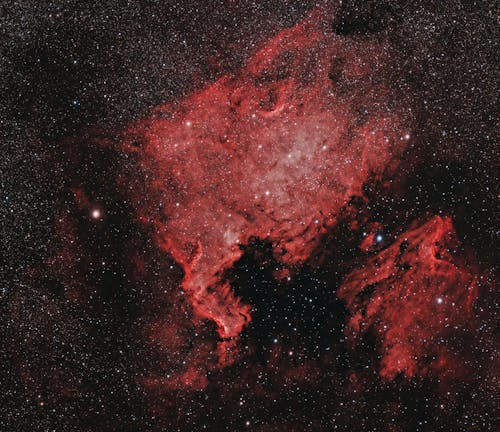 The North American and the Pelican Nebula