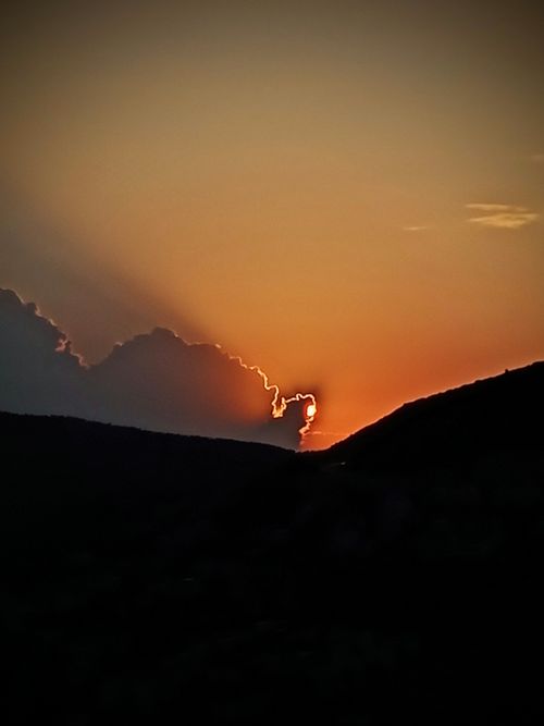 Free 🐺 Stock Photo