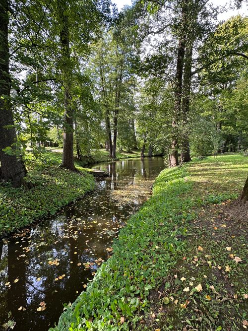 Free Peaceful stream in a lush park setting, ideal for relaxation and nature walks. Stock Photo