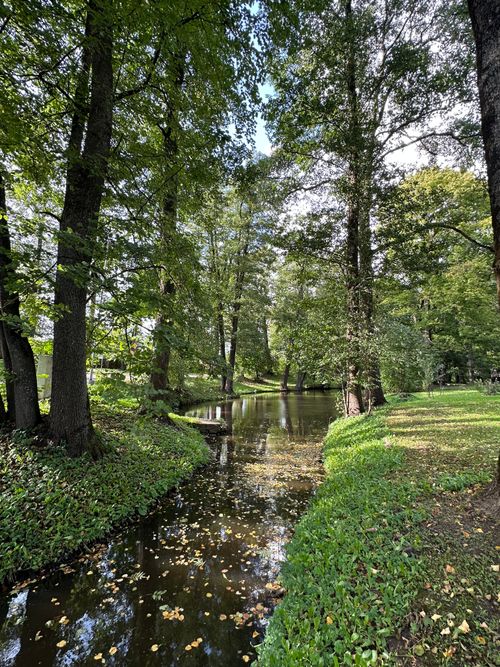 Free Tranquil outdoor scene of a stream winding through a lush, green forest. Stock Photo