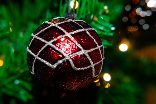 Foto profissional grátis de acessório, árvore de Natal, árvore verde