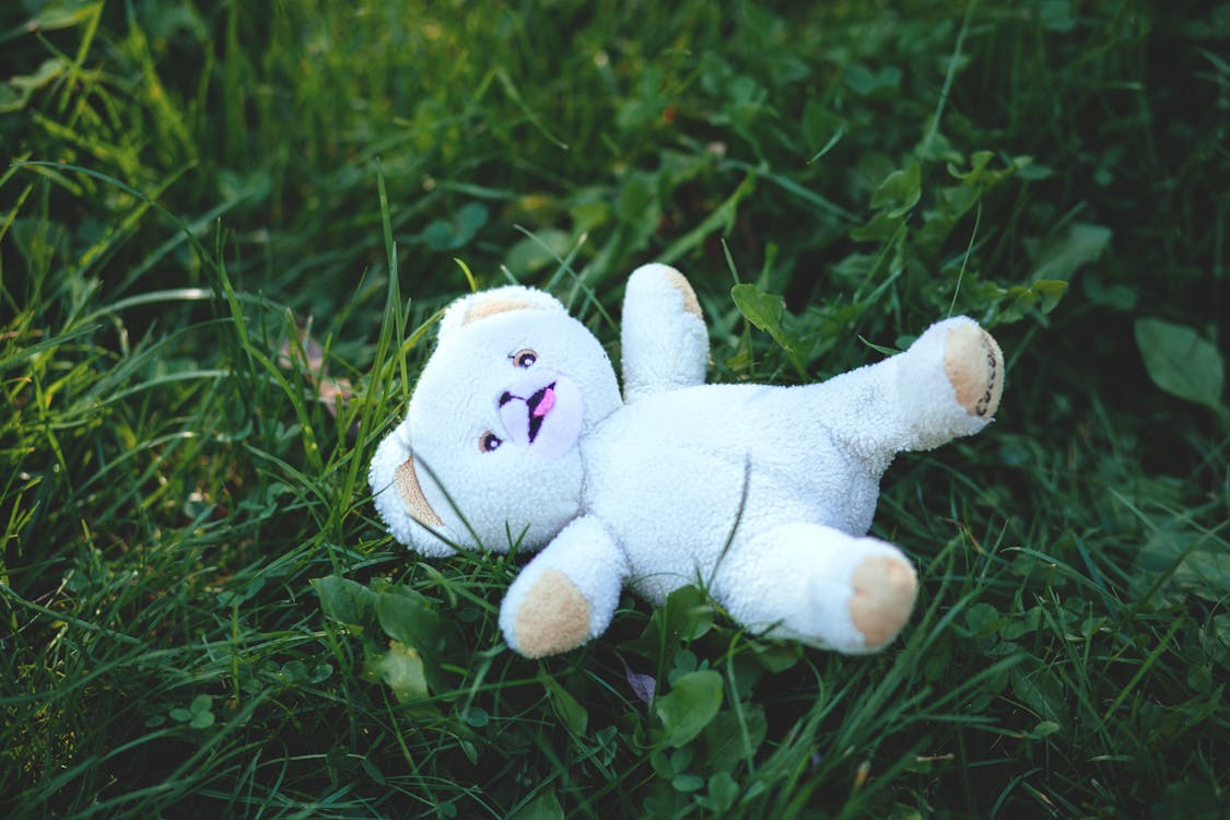Free White Bear Plush Toy Stock Photo
