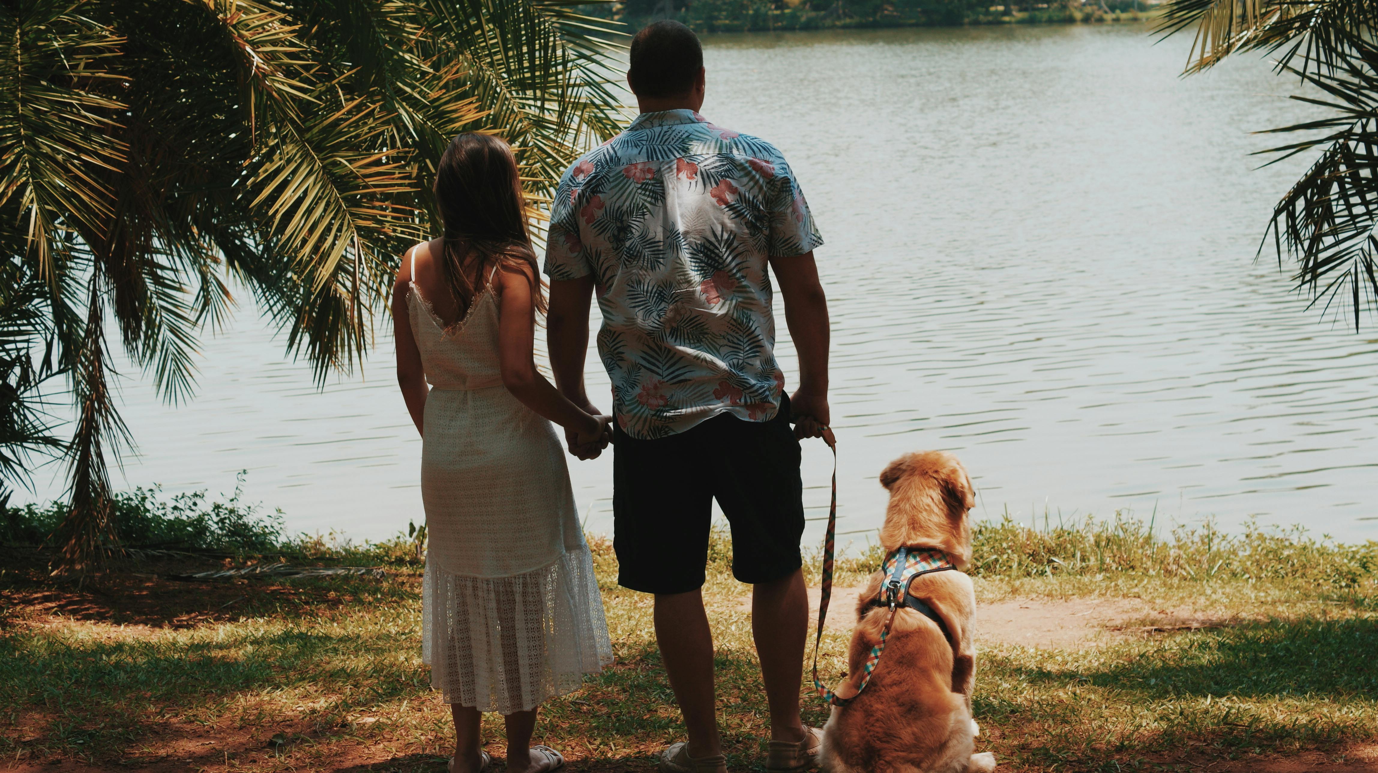 free trial fa get 1000 free instagram followers now simply follow the steps here instagets com we offer free instagram followers website up to 50 000 - more followers on instagram cheat free