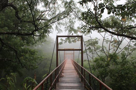 Santa Cruz, United States photo 6