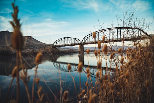 一座金属桥横跨平静的河流，桥前是干枯的植物