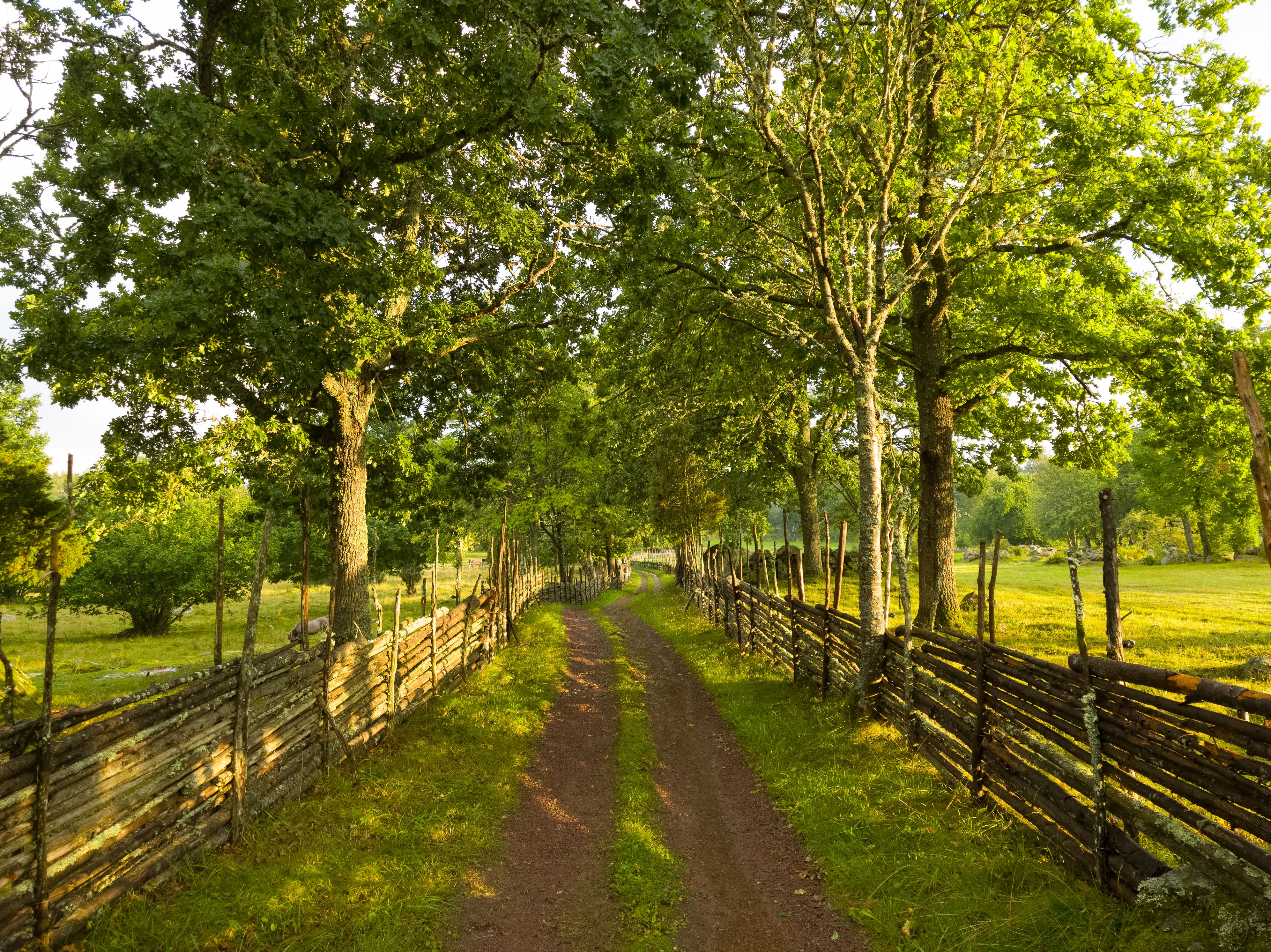 A dirt road with a fence in the middle · Free Stock Photo