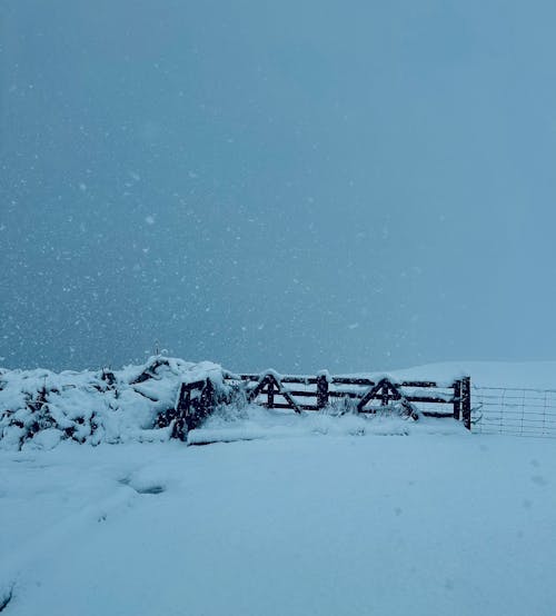 Winter Landscape with a Fence 