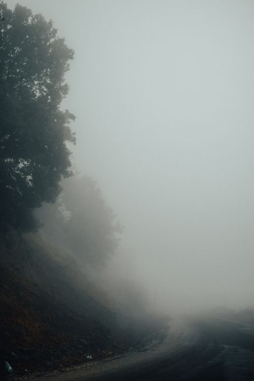 Free Mysterious fog envelops a quiet road in Merzifon, Amasya, Türkiye, capturing a serene winter morning. Stock Photo