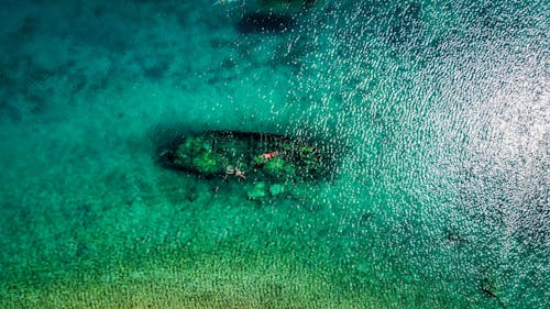 Men Swimming in Clear Turquoise Ocean