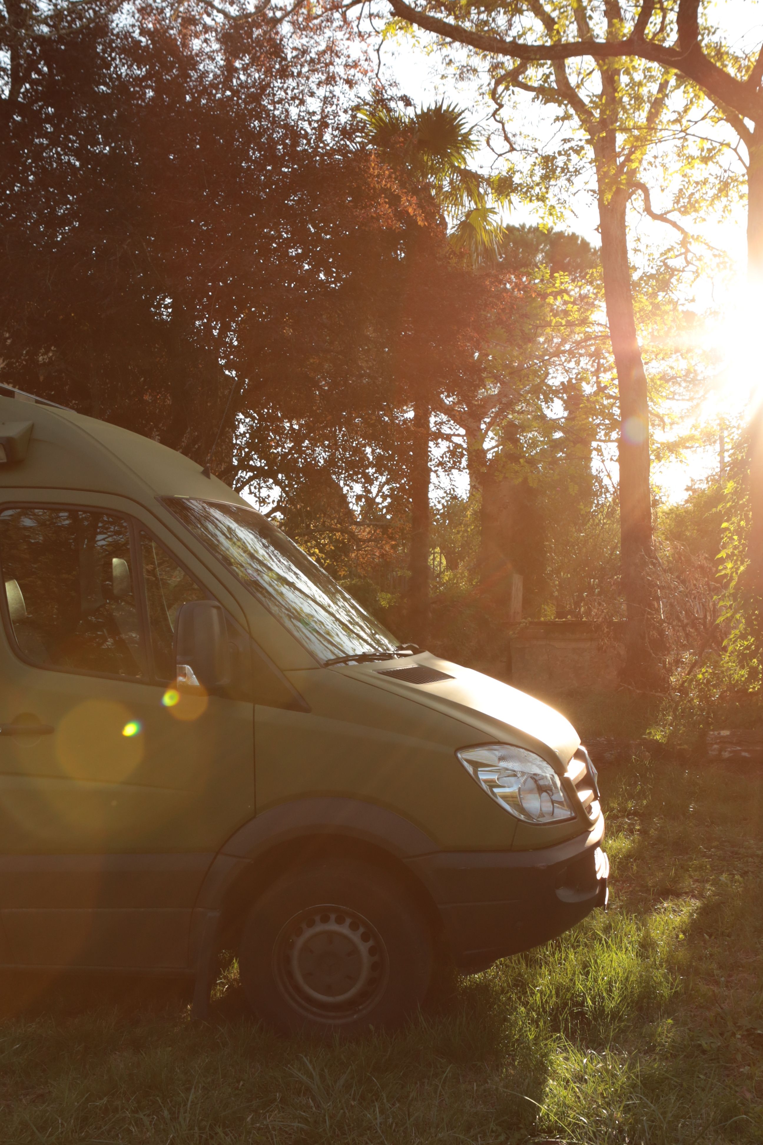 A van parked in a sunlit forest with the sunrise glowing through the trees, capturing morning tranquility.