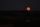 moonlight