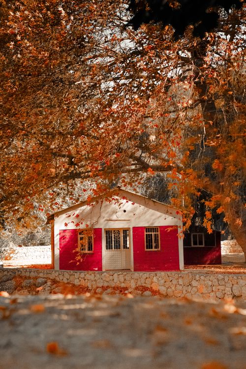 Free Red cottage surrounded by vibrant autumn leaves showcasing fall colors and natural beauty. Stock Photo