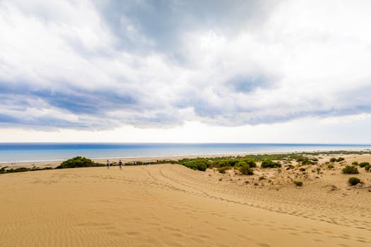 People walking on a vast sandy beach with ocean and horizon under cloudy skies.