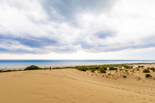 Free People walking on a vast sandy beach with ocean and horizon under cloudy skies. Stock Photo