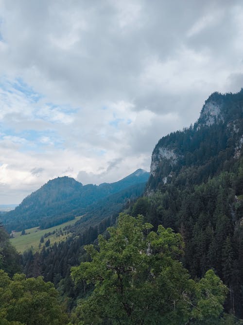 Imagine de stoc gratuită din altitudine inalta, codru, munte