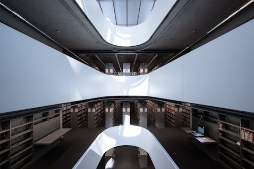 Gratis lagerfoto af bibliotek, gulve, interiør