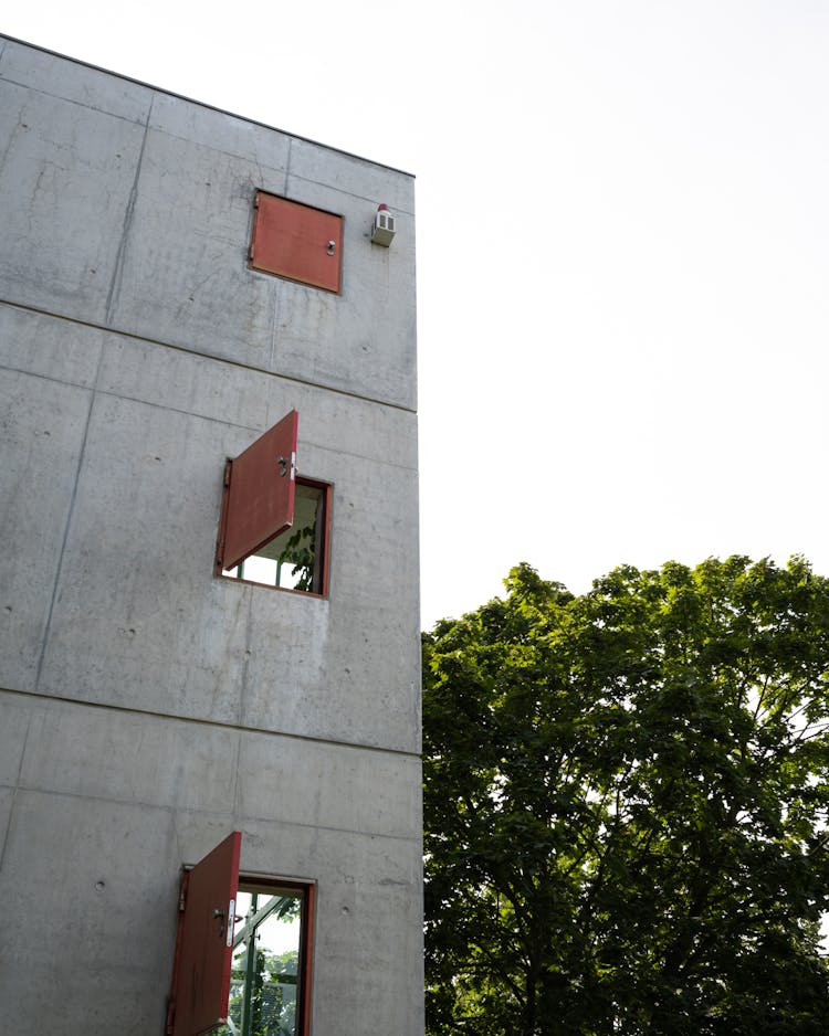 Windows In A Building At University In Berlin 