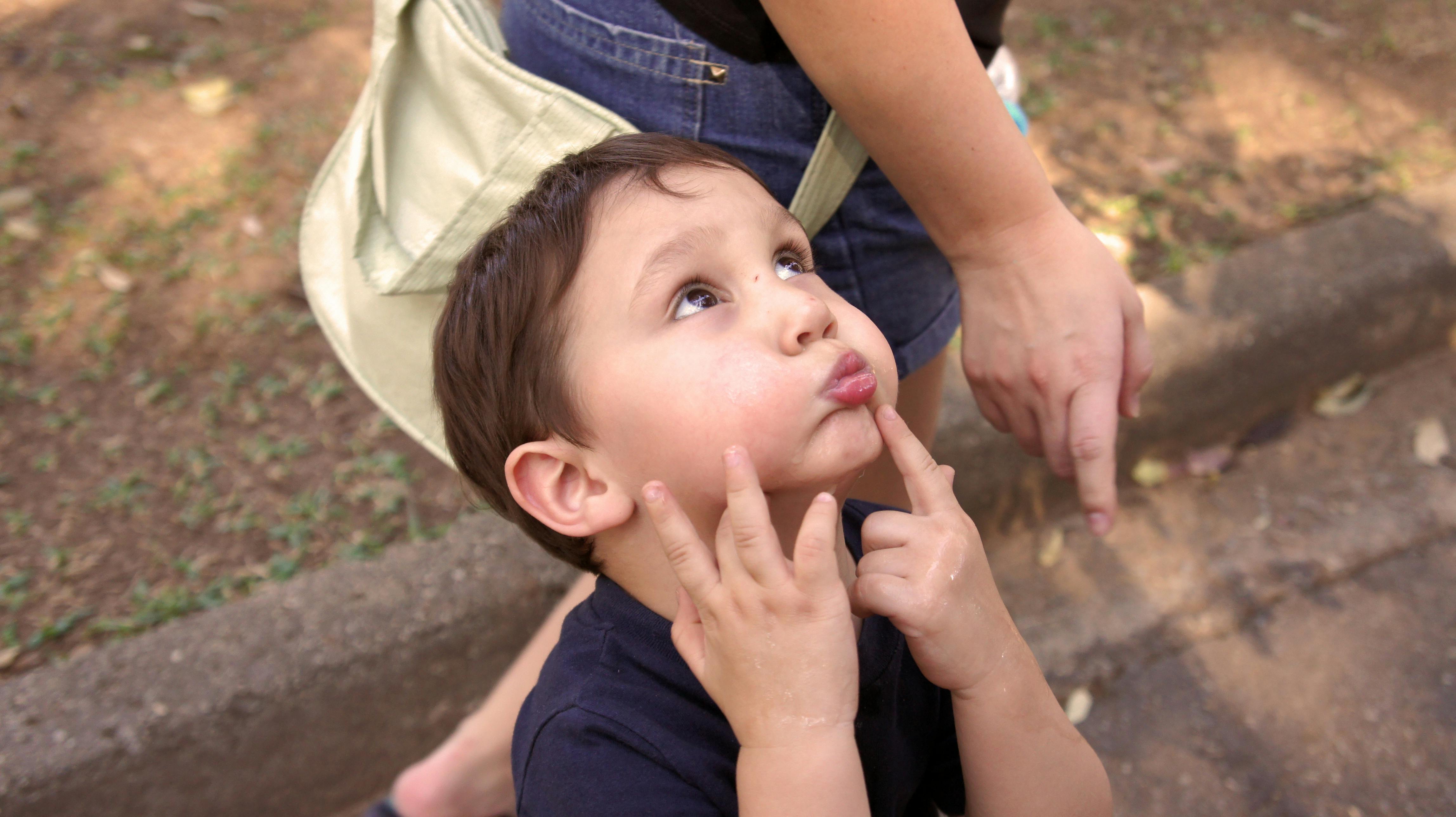 Free stock photo of boy, child, children