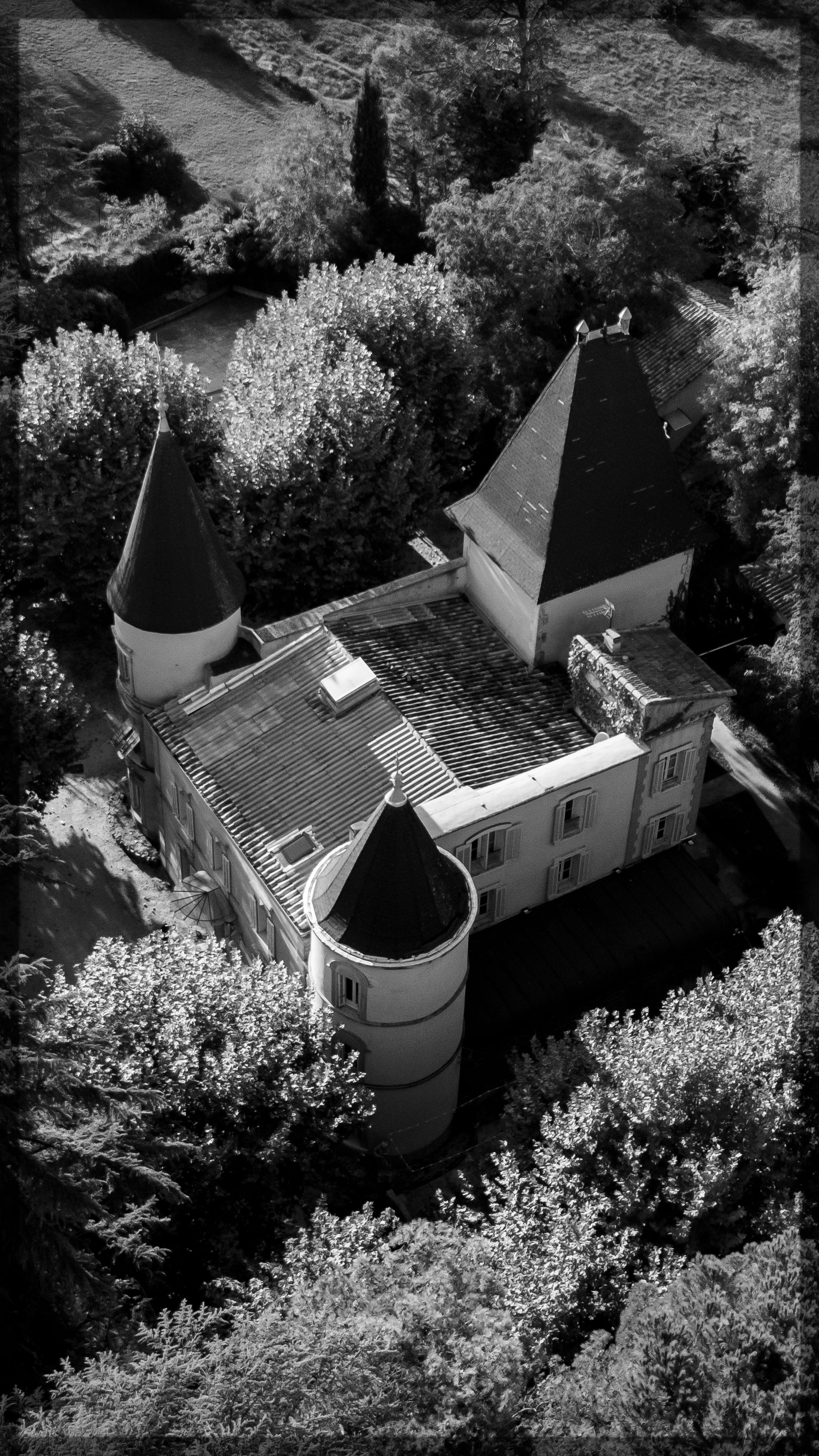 Black and white aerial shot of a French castle surrounded by autumn foliage.