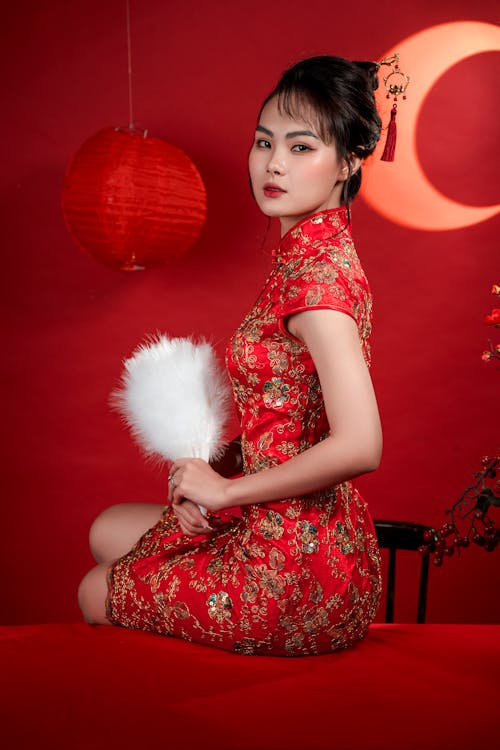 Fotos de stock gratuitas de asiática, cabello moreno, fondo rojo