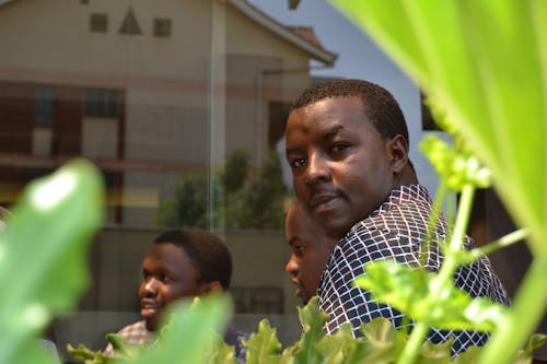 Free stock photo of godfrey kimani, hotel, nairobi