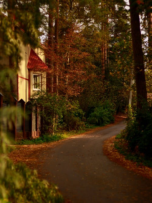 Alley in Autumn Park with Houses on Sunset