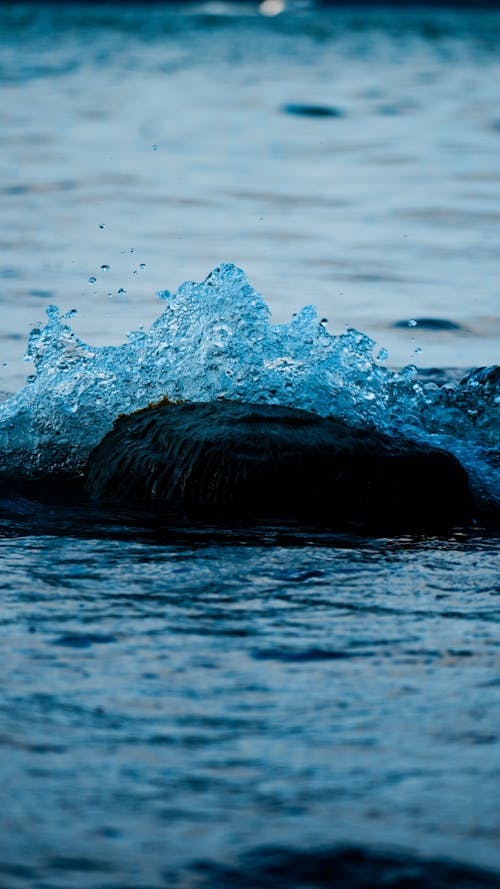 Foto profissional grátis de água, mar, oceanos