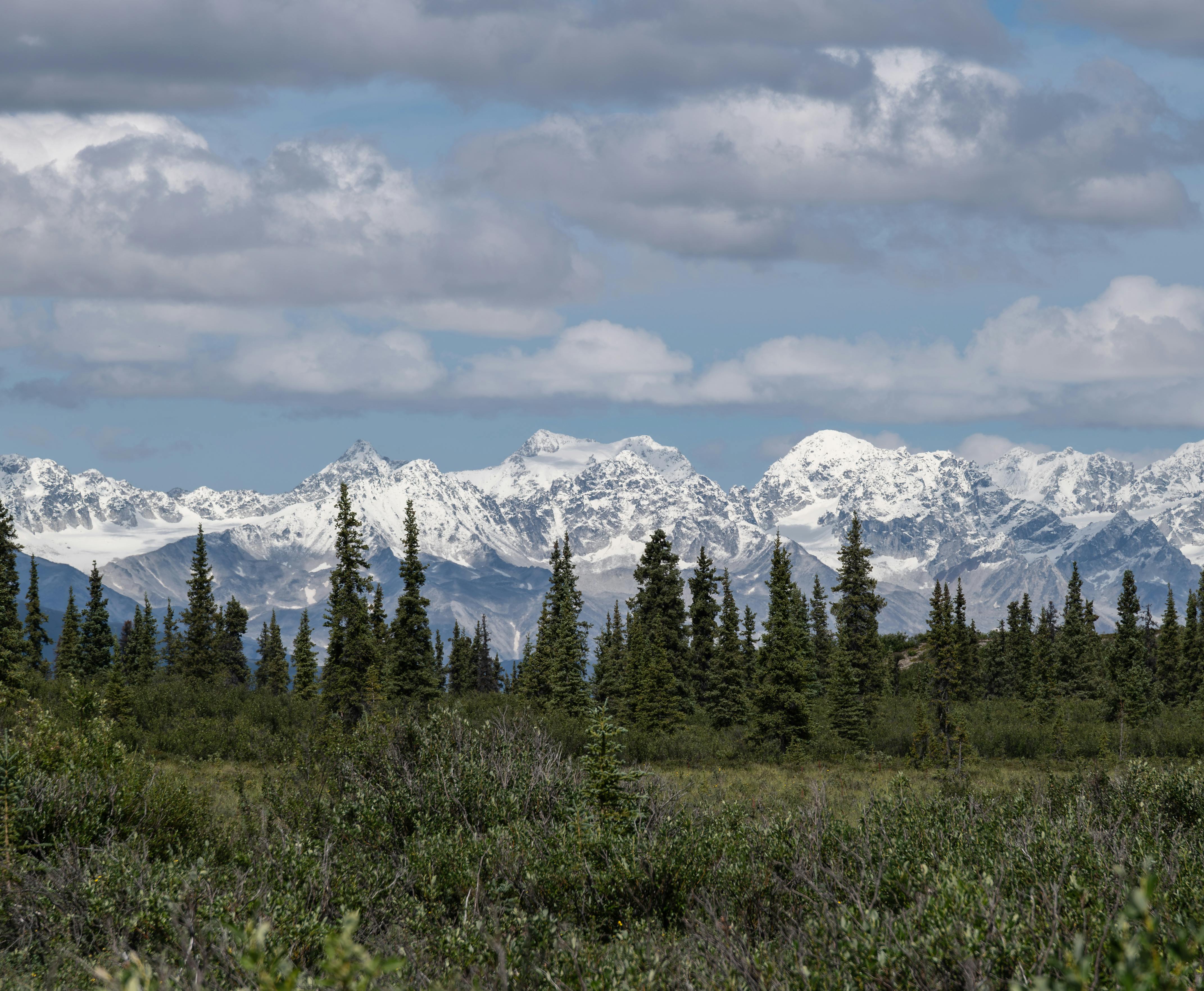 Alaska attorneys to provide free legal help on MLK Day holiday — Photo by John De Leon on Pexels