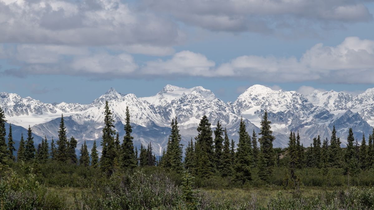Top Anchorage, AK Family Giveaways With No Purchase Necessary: Safe Entry Guide