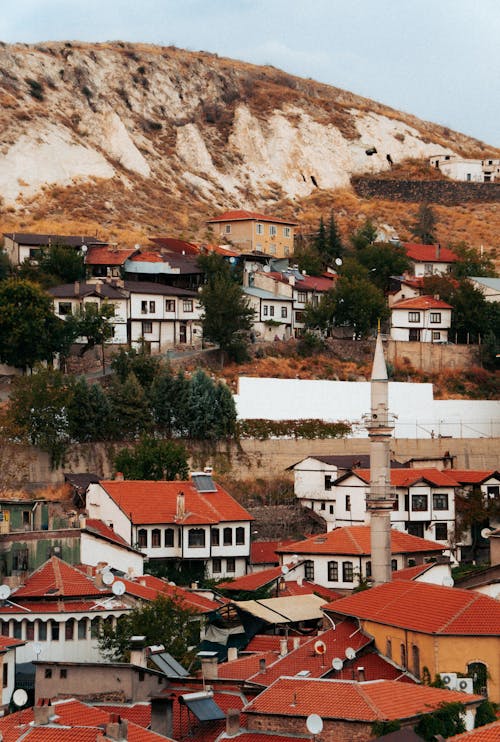 A city with a hill in the background and a red roof