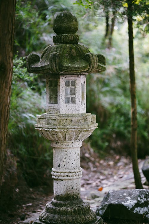 Immagine gratuita di Asiatico, colonna, foresta