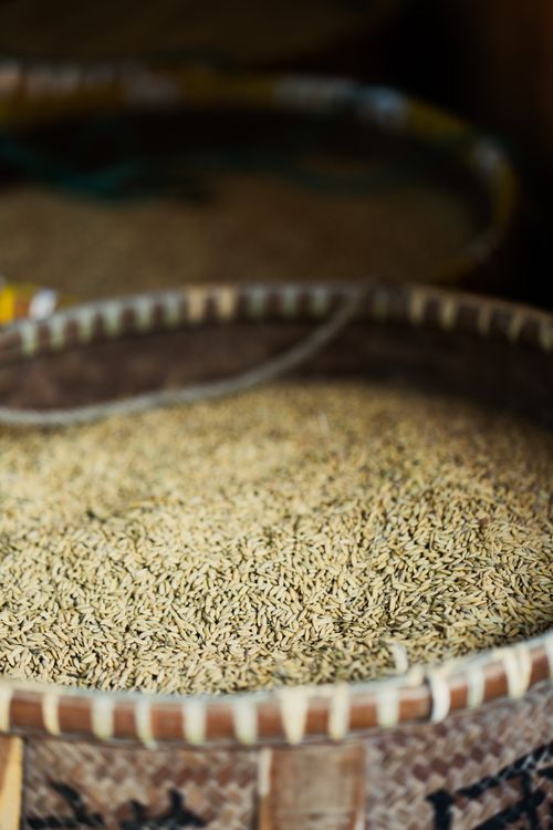 Free Close-up of grains in a basket, showcasing traditional rural harvest methods. Stock Photo
