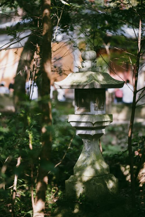 Free Serene traditional Japanese stone lantern among lush green foliage in a tranquil garden. Stock Photo
