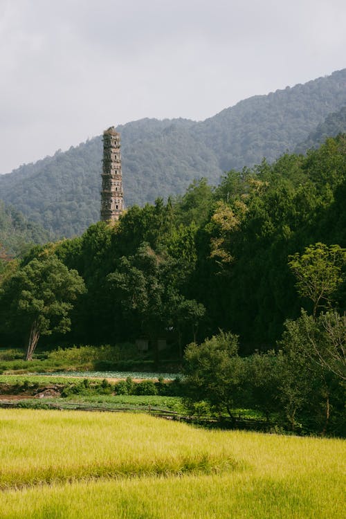 Pagoda Tower in Forest in Mountains Landscape