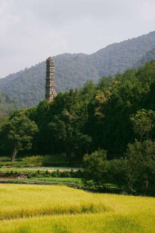 Free Historic pagoda towers over a serene forest landscape with lush greenery and mountains in the background. Stock Photo