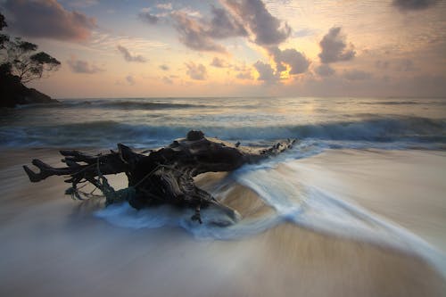 Photographie De Bord De Mer