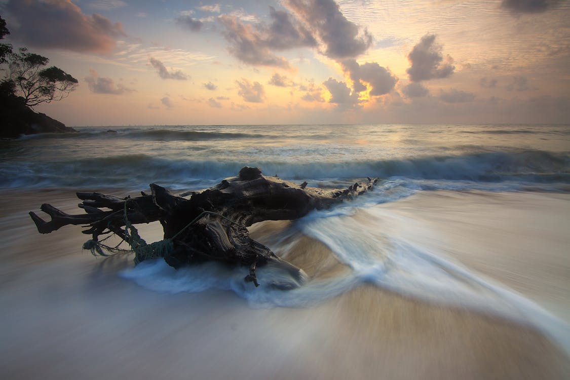 Ücretsiz Sahil Fotoğrafı Stok Fotoğraflar