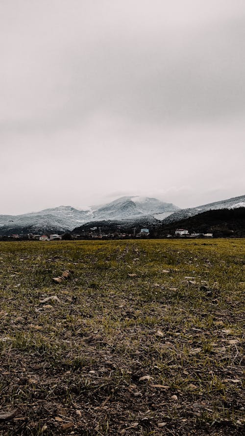 Foto profissional grátis de campina, colinas, inverno