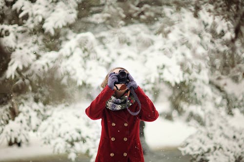 Kostnadsfri bild av flicka, fotografi, frost