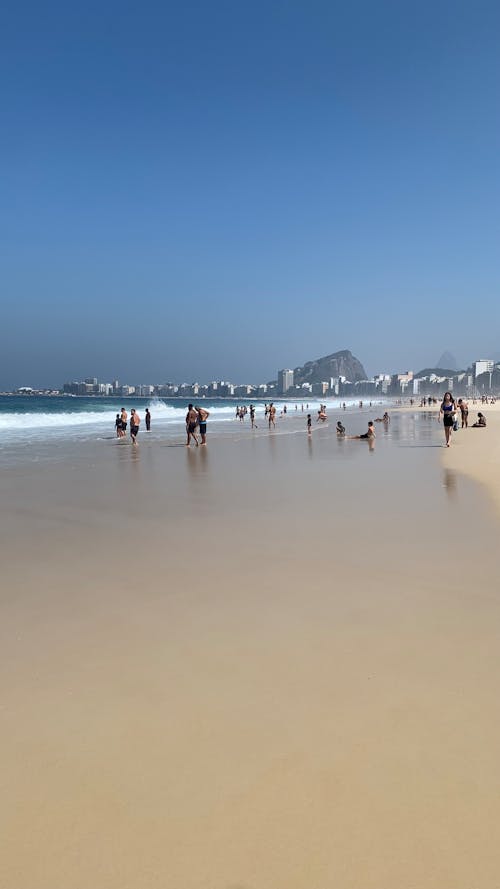 Foto d'estoc gratuïta de alba, brasil, llimona