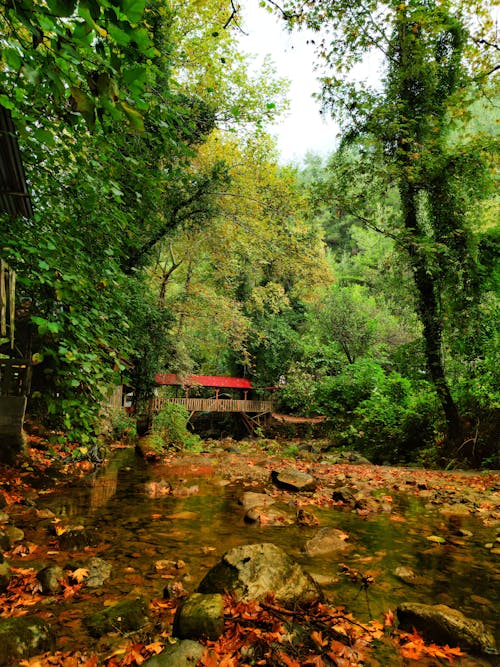 A small red house sits in the middle of a stream