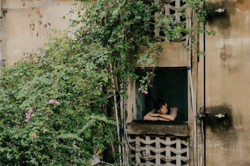 adam, asyalı adam, balkon içeren Ücretsiz stok fotoğraf