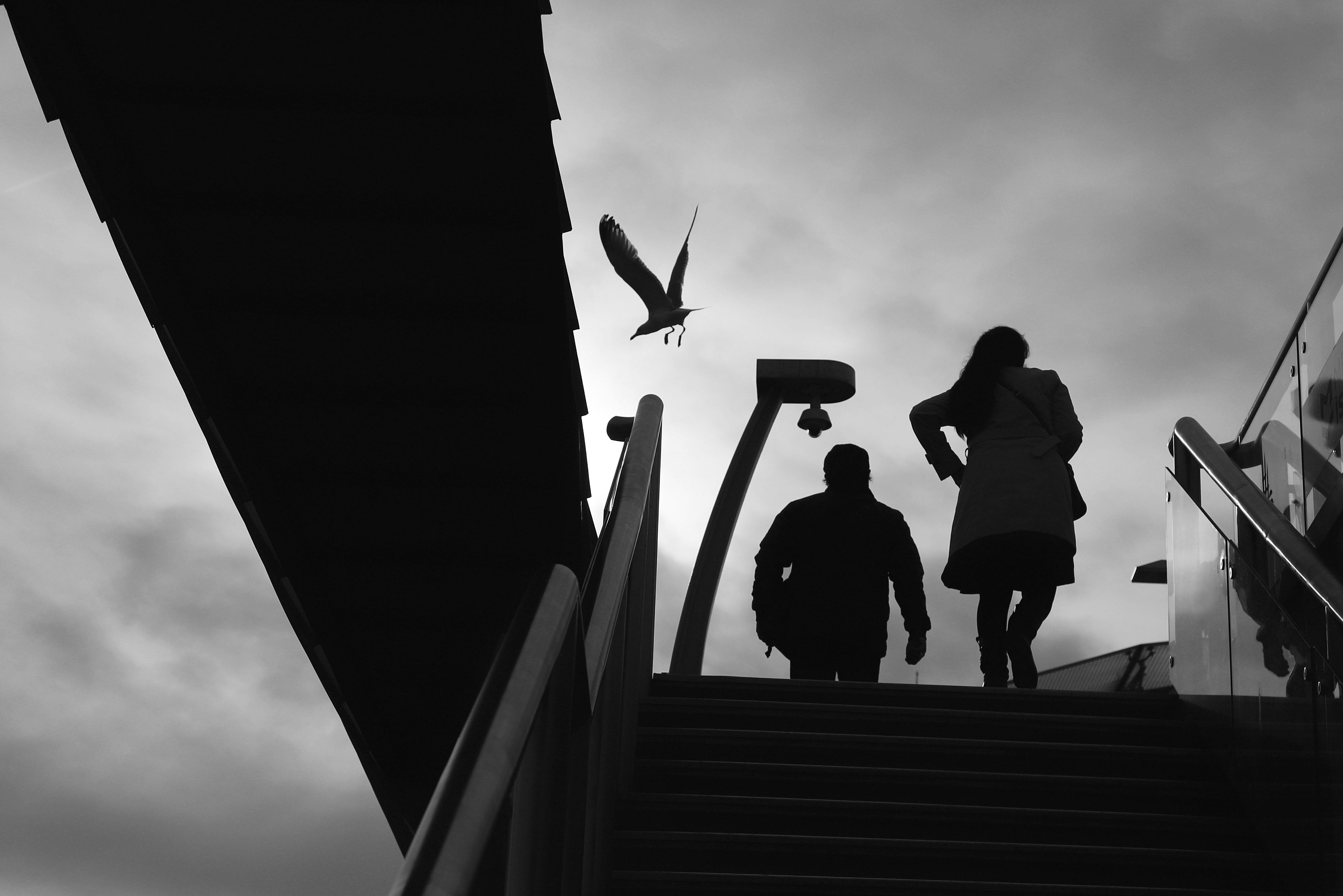 Monochrome street scene with two figures and a bird, creating dynamic contrasts.