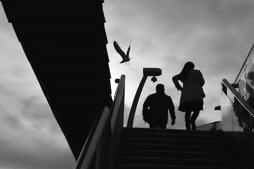 Black and White Photo of People Walking up the Stairs