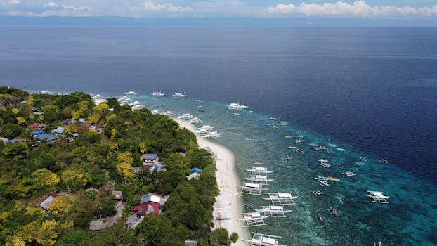 Beautiful aerial view of Panglao Island's white sandy beach and turquoise waters, perfect for a summer vacation.