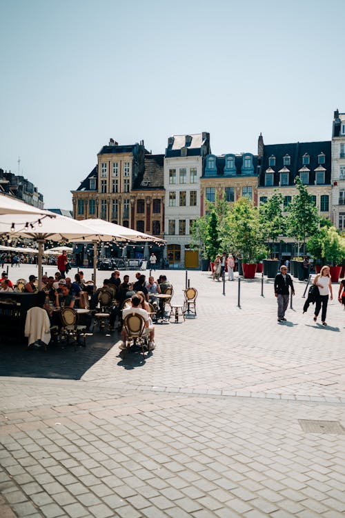 View of the Town Square and Buildings in Lille, France 