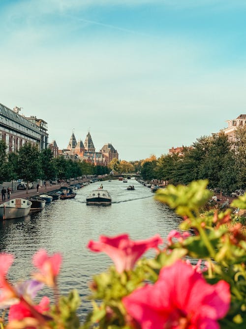 Gratis stockfoto met bomen, dronefoto, motorboten