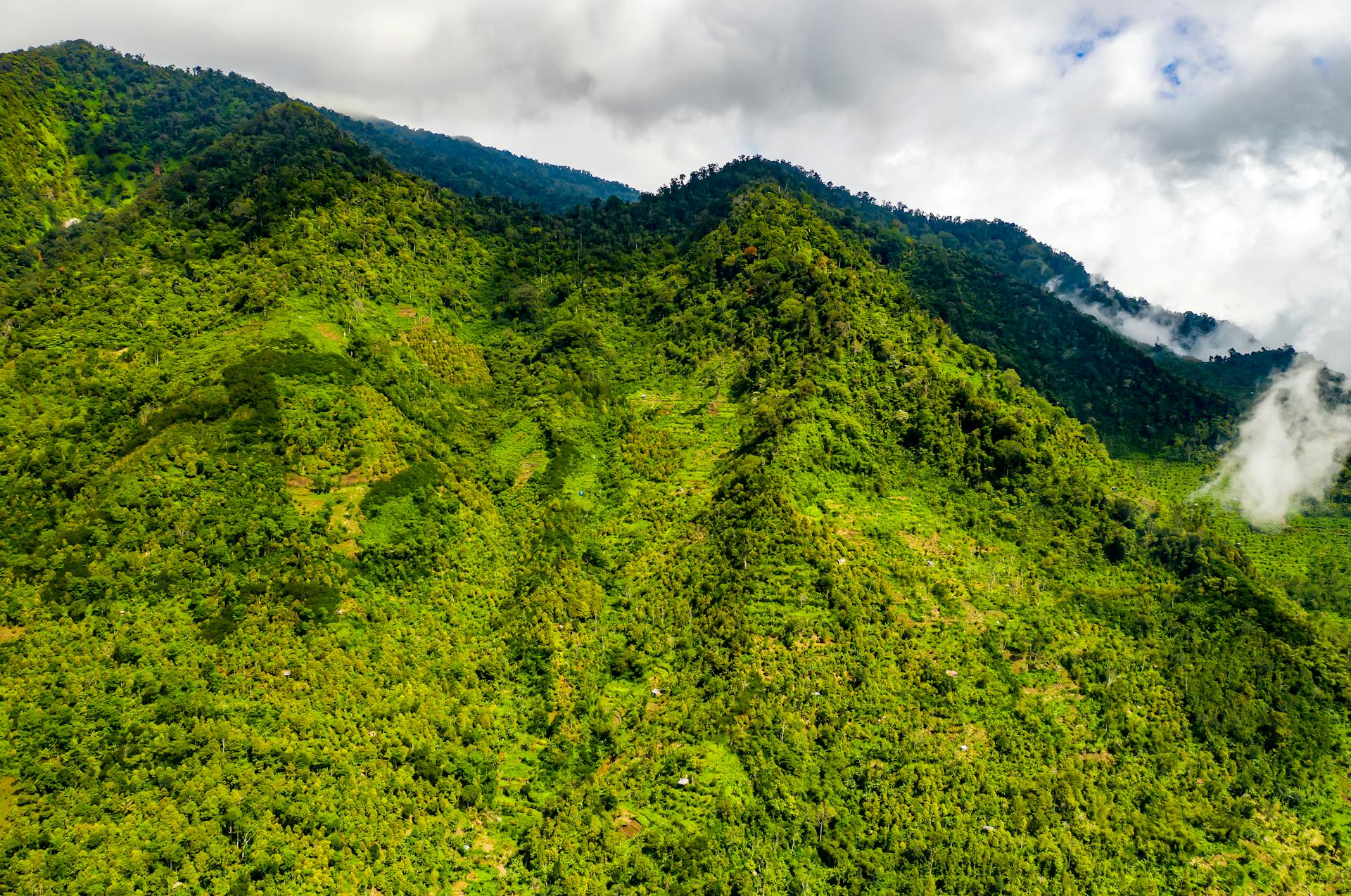 Vibrant aerial view of lush green mountains in Majasari, Banten, Indonesia with a cloudy sky.